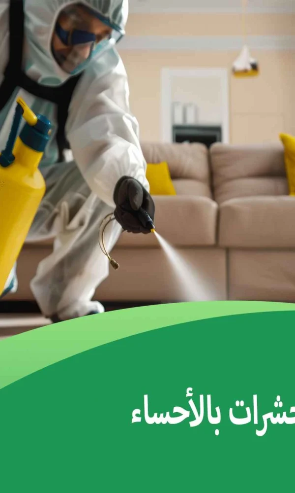 شركة مكافحة حشرات بالأحساء