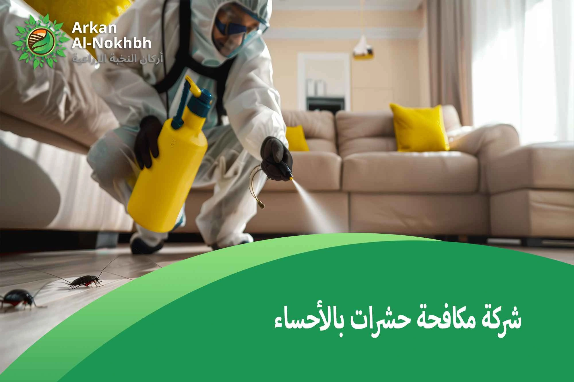شركة مكافحة حشرات بالأحساء