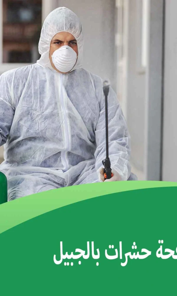 شركة مكافحة حشرات بالجبيل