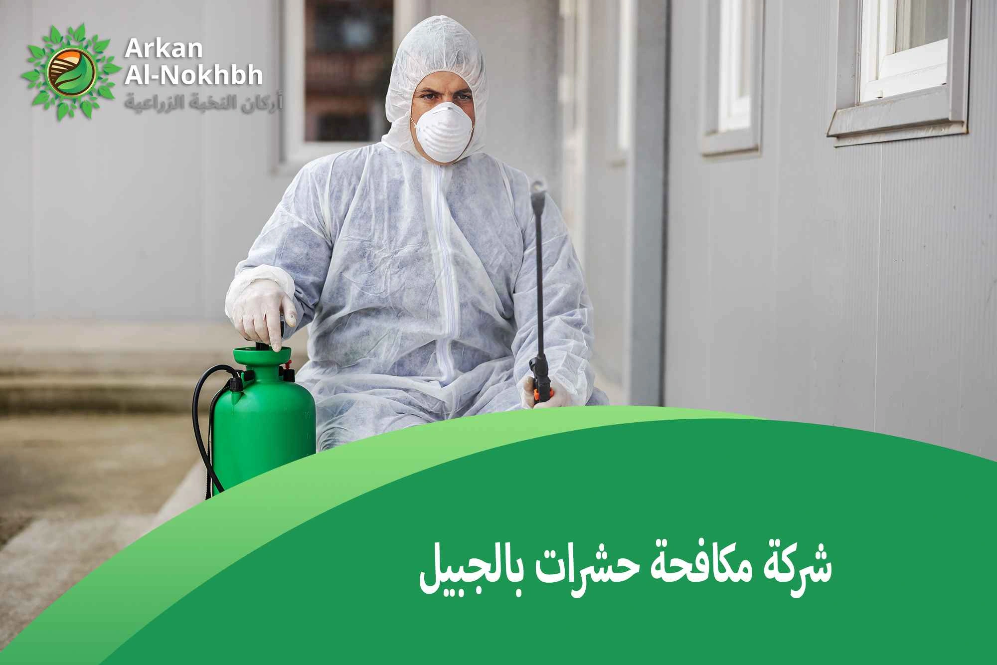 شركة مكافحة حشرات بالجبيل