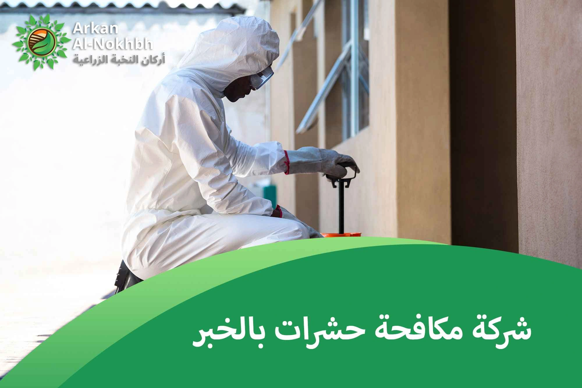 شركة مكافحة حشرات بالخبر