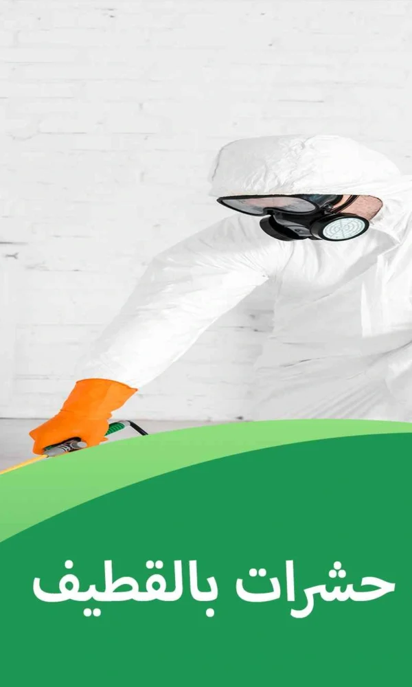 شركة مكافحة حشرات بالقطيف