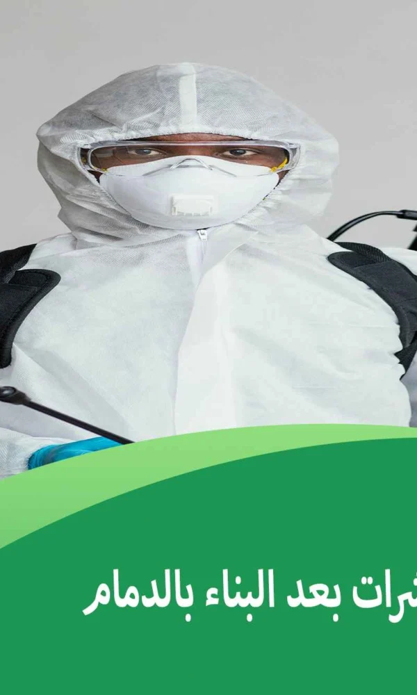 شركة مكافحة حشرات بعد البناء بالدمام