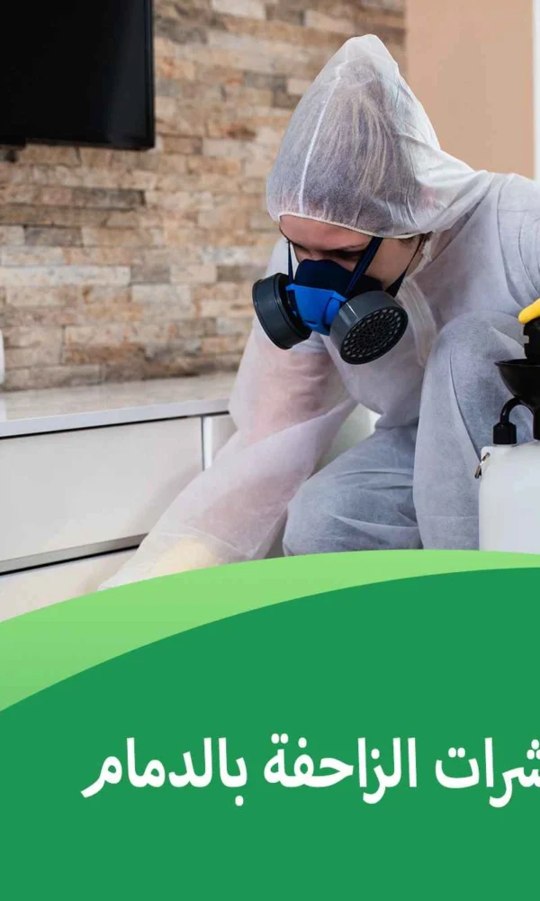 مكافحة الحشرات الزاحفة بالدمام