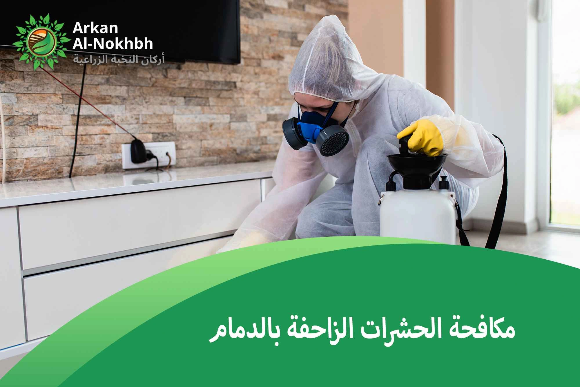 مكافحة الحشرات الزاحفة بالدمام