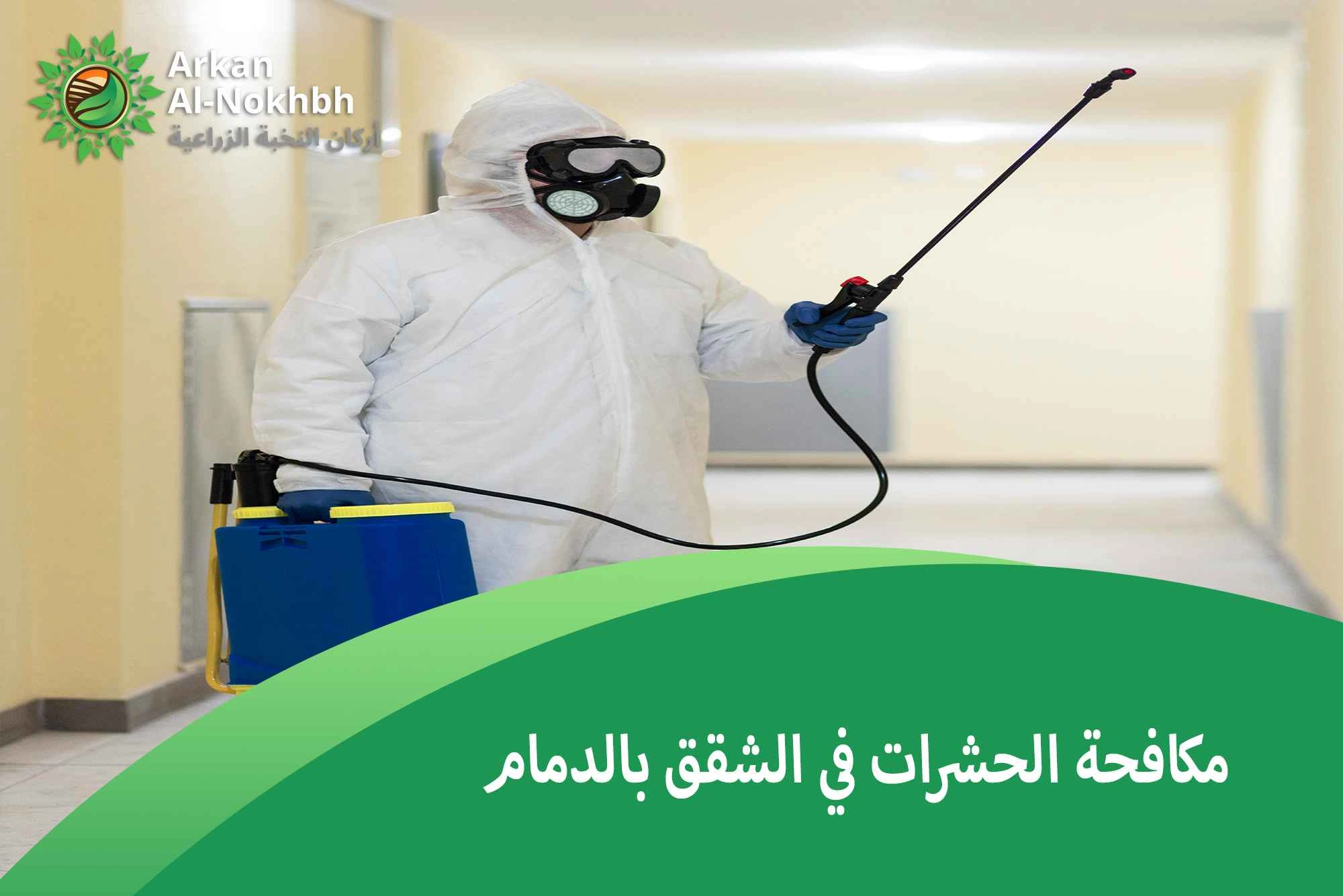 مكافحة الحشرات في الشقق بالدمام
