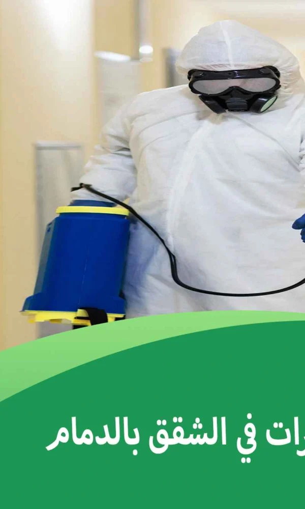 مكافحة الحشرات في الشقق بالدمام