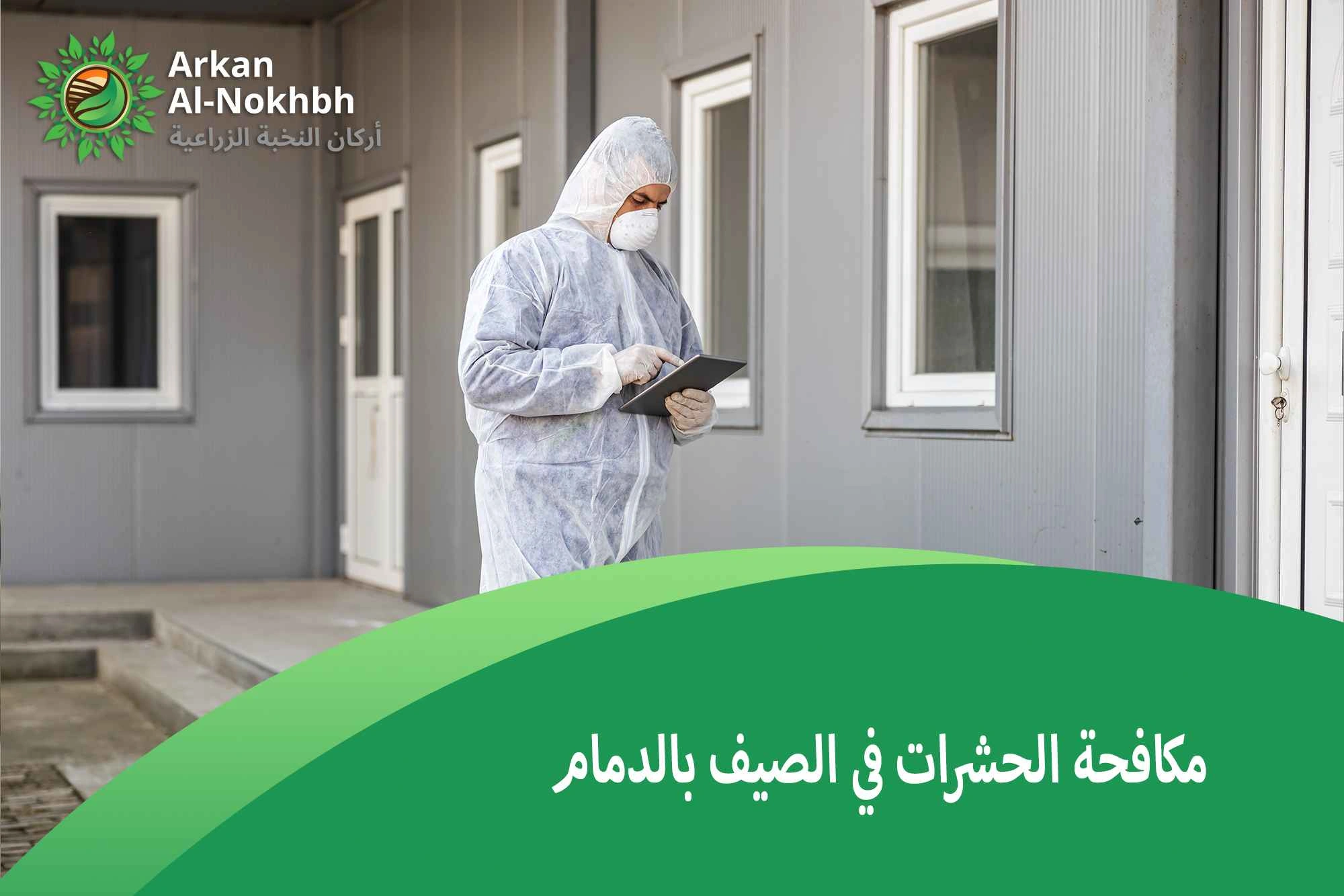 مكافحة الحشرات في الصيف بالدمام