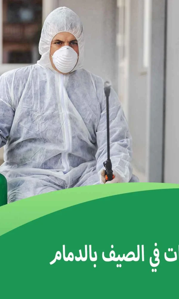 مكافحة الحشرات في الصيف بالدمام