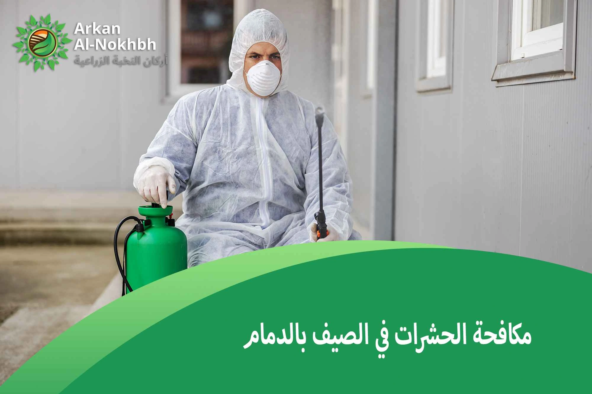 مكافحة الحشرات في الصيف بالدمام