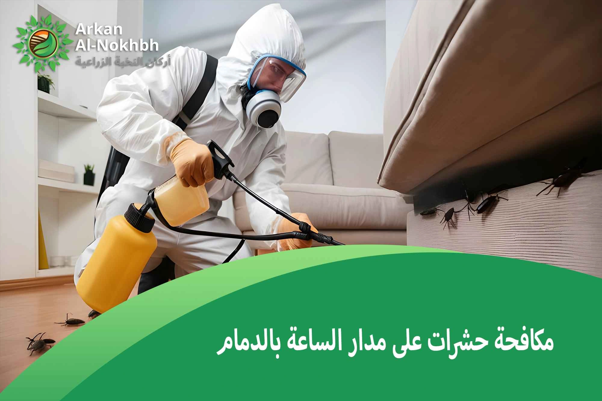 مكافحة حشرات على مدار الساعة بالدمام