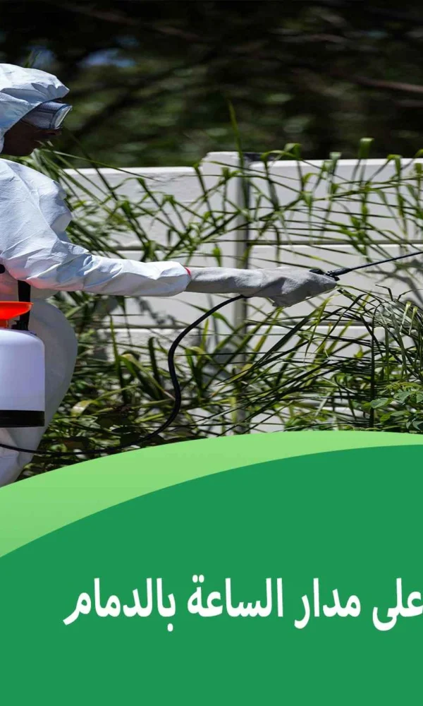 مكافحة حشرات على مدار الساعة بالدمام