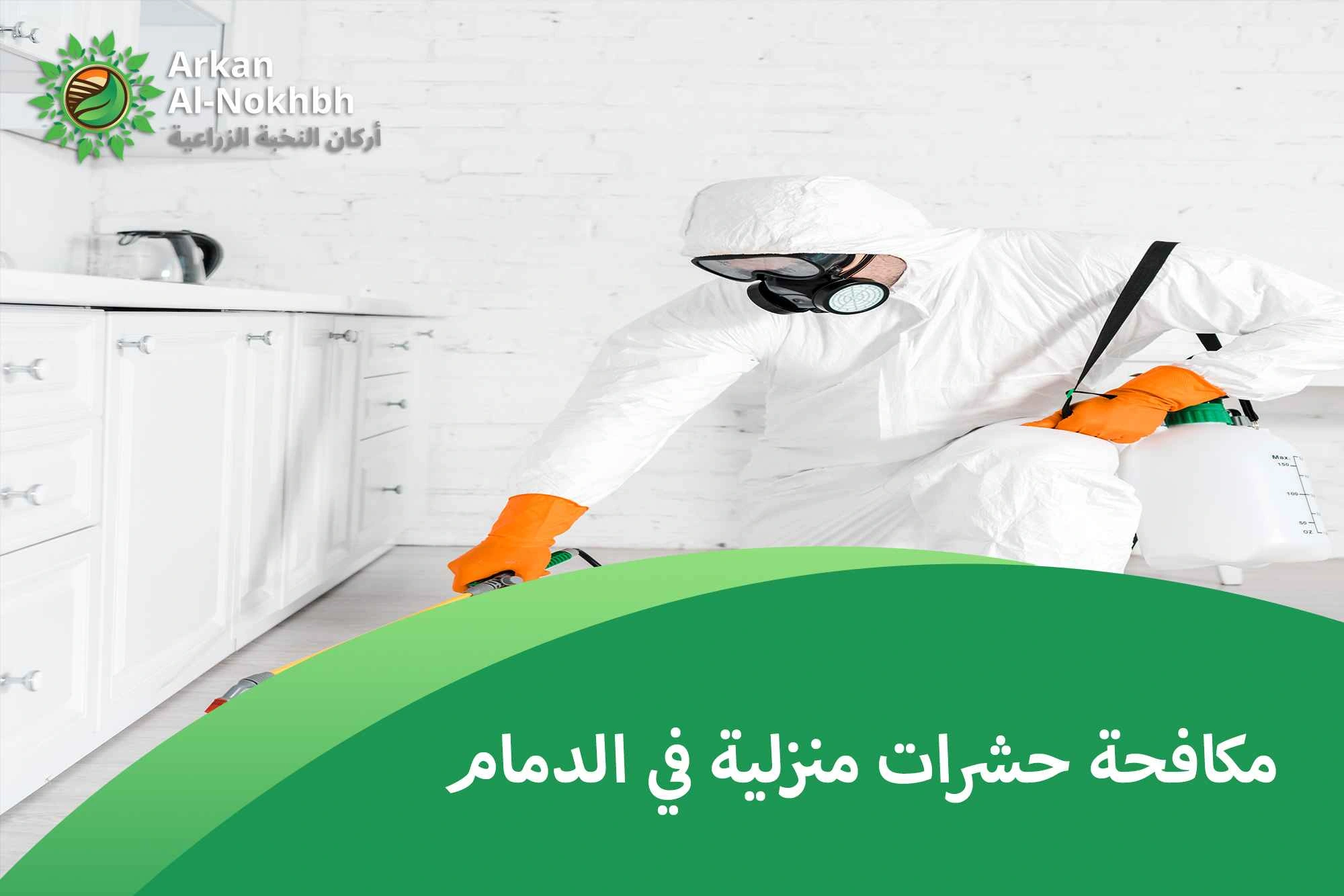 مكافحة حشرات منزلية في الدمام