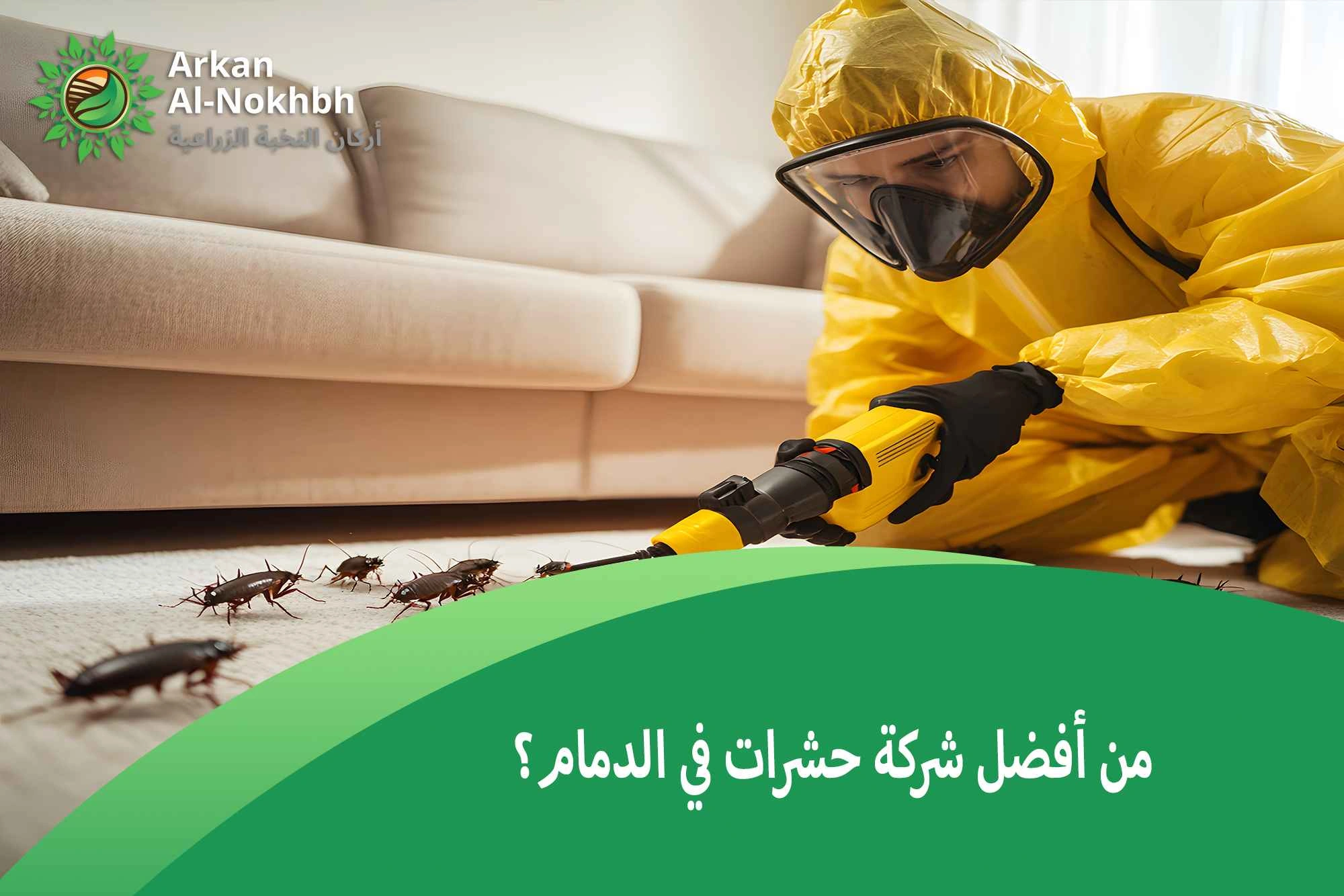 من أفضل شركة حشرات في الدمام؟