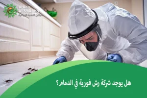 هل يوجد شركة رش فورية في الدمام؟
