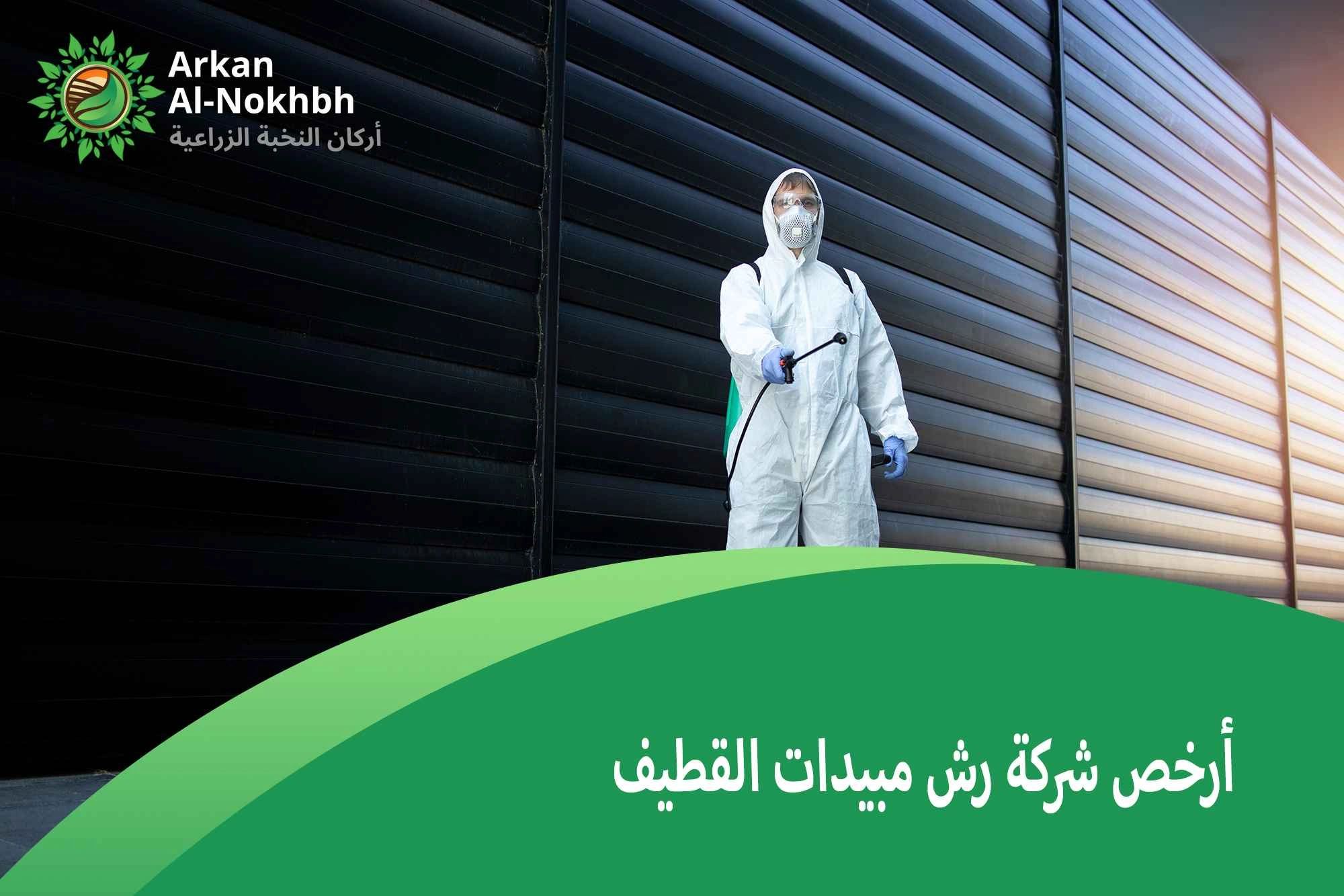 أرخص شركة رش مبيدات القطيف