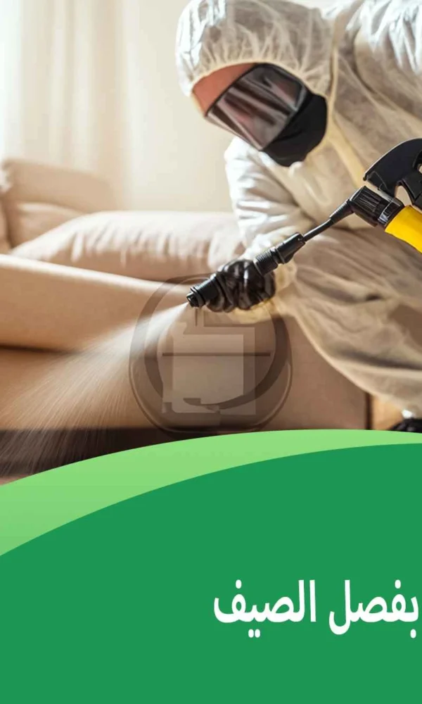 أسباب الحشرات بفصل الصيف