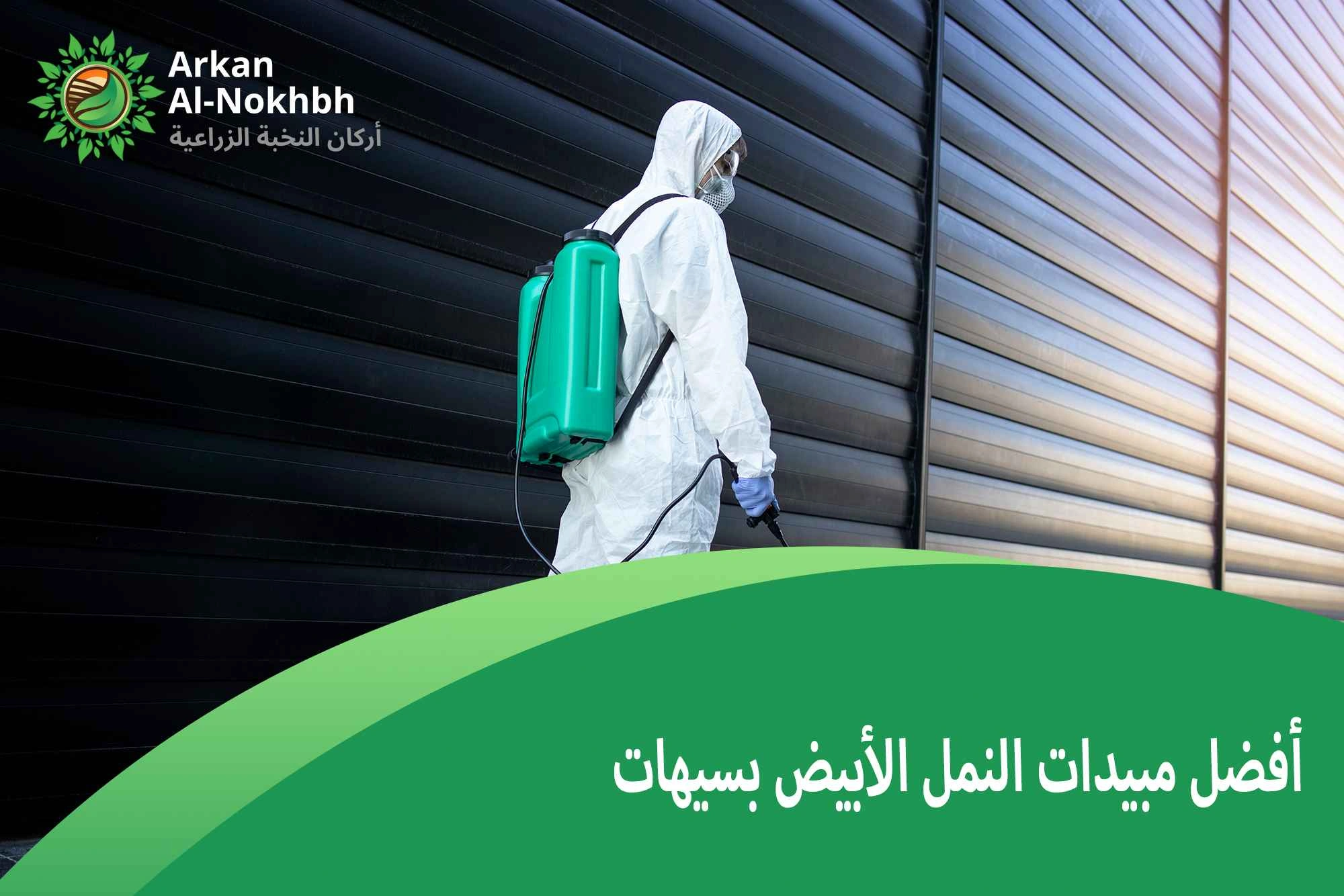 أفضل مبيدات النمل الأبيض بسيهات