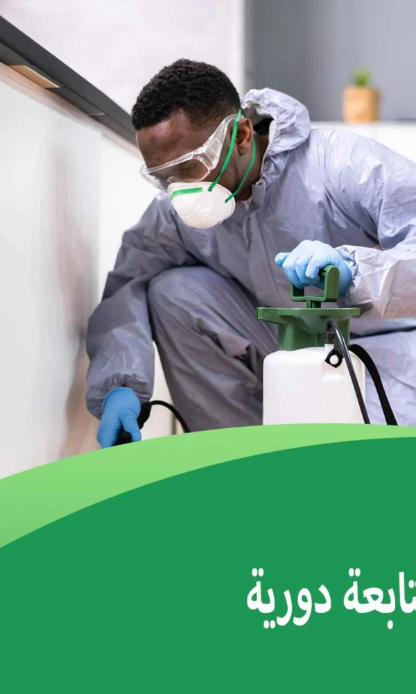 إبادة حشرات مع متابعة دورية