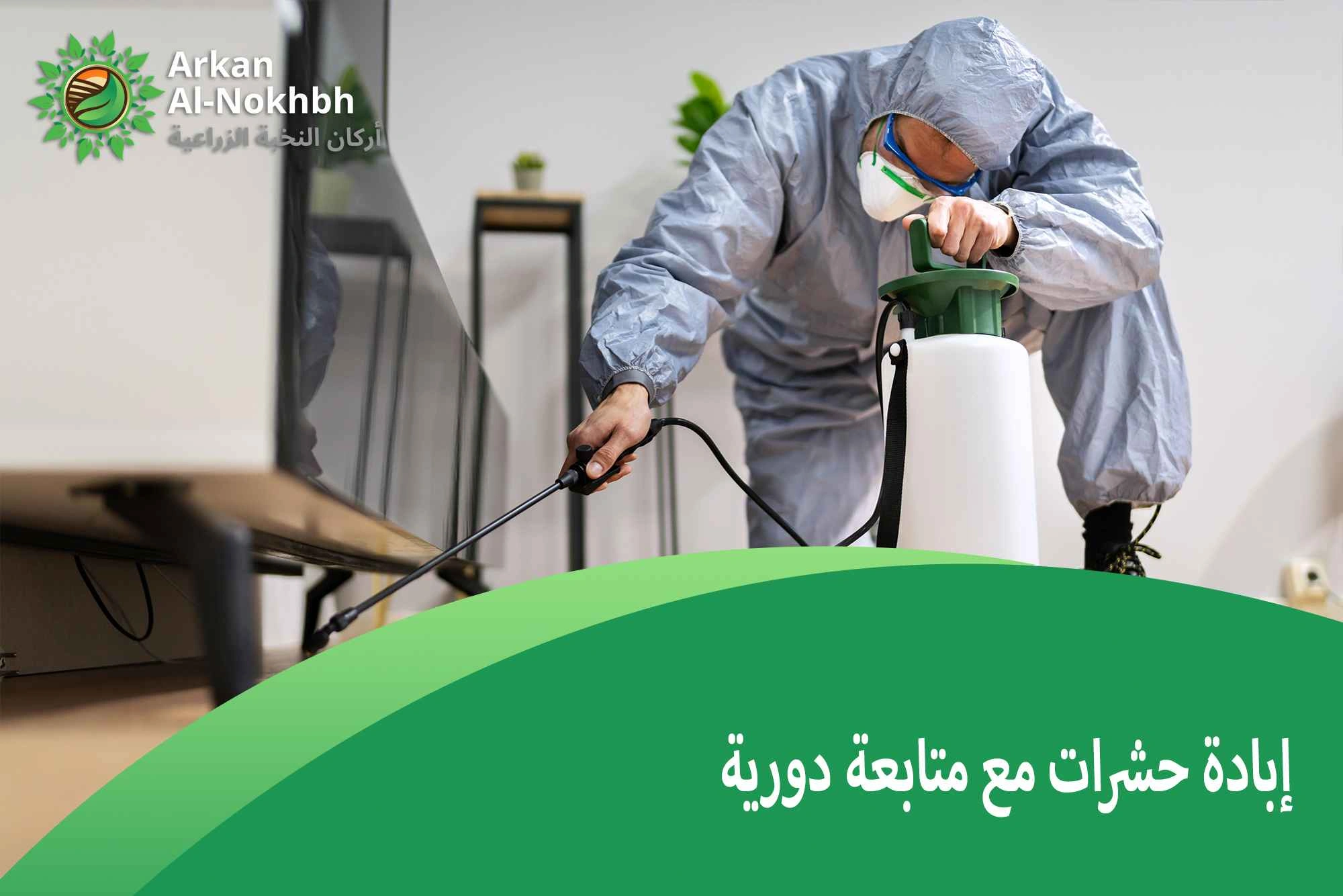 إبادة حشرات مع متابعة دورية