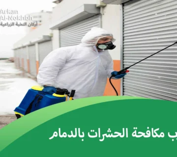 تجارب مكافحة الحشرات بالدمام