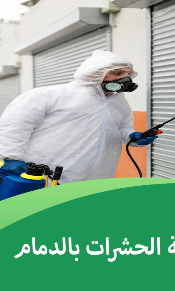 تجارب مكافحة الحشرات بالدمام