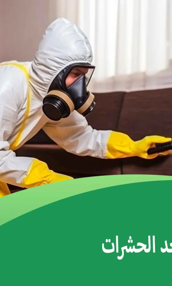 تنظيف ورش بعد الحشرات
