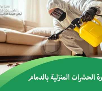خطورة الحشرات المنزلية بالدمام