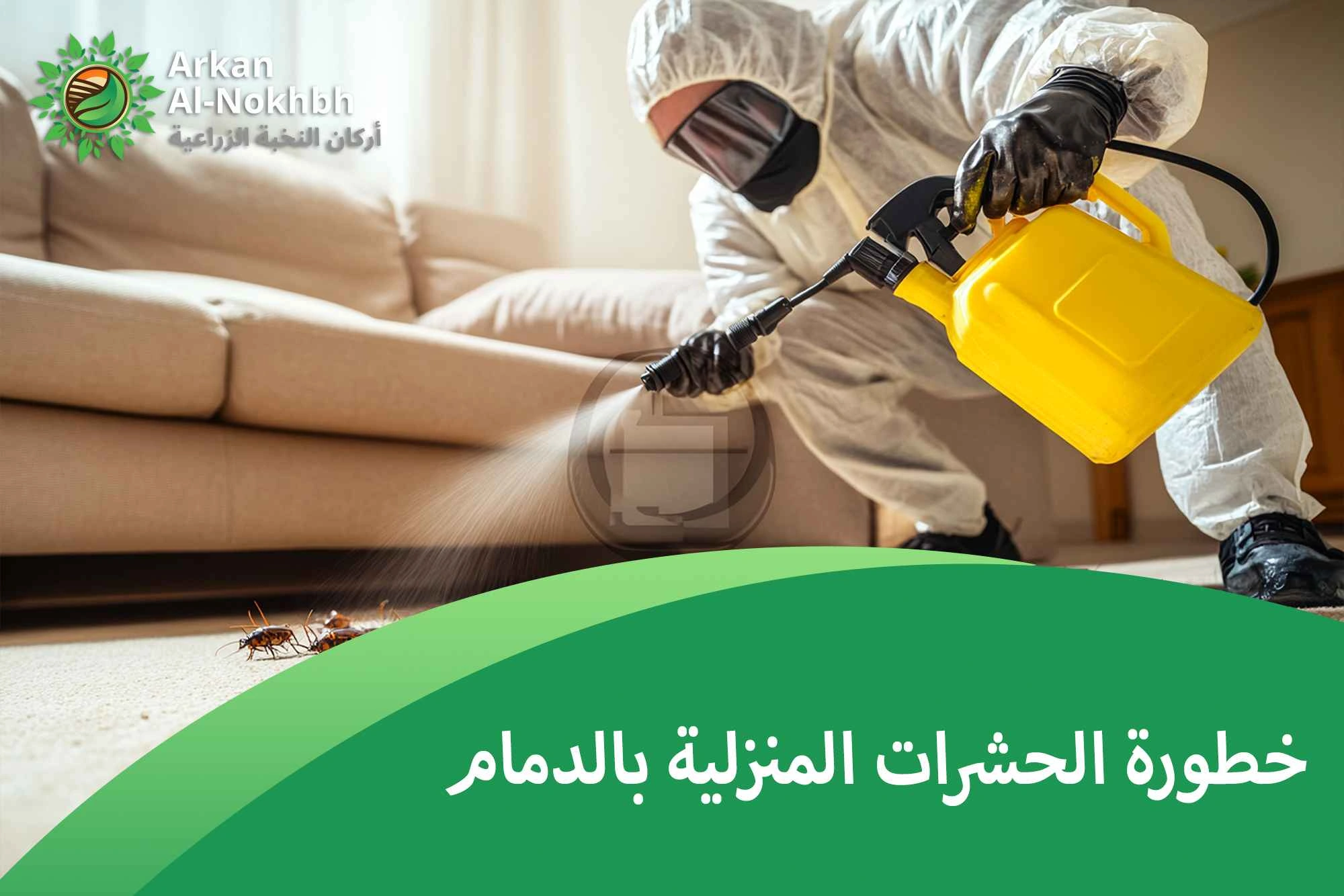 خطورة الحشرات المنزلية بالدمام
