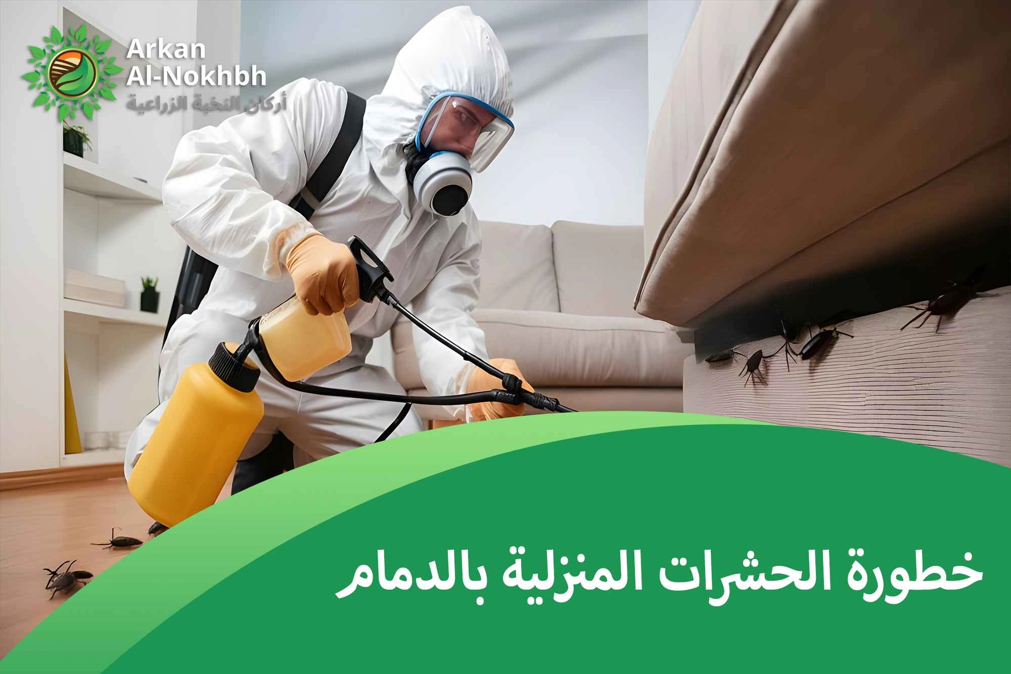 خطورة الحشرات المنزلية بالدمام