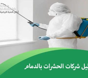 دليل شركات الحشرات بالدمام
