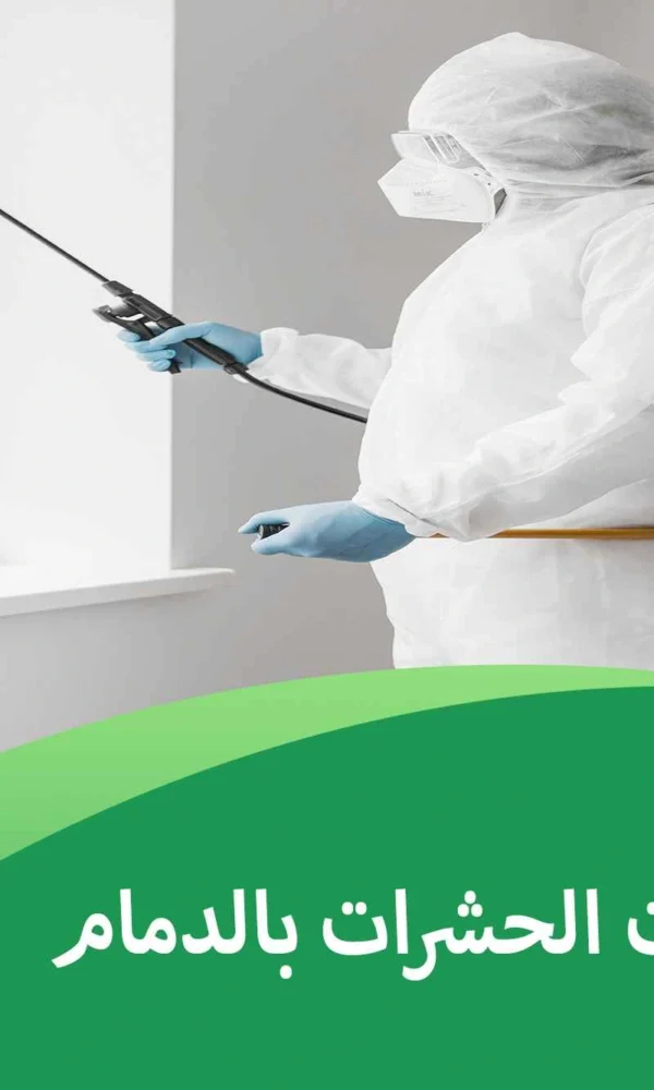 دليل شركات الحشرات بالدمام