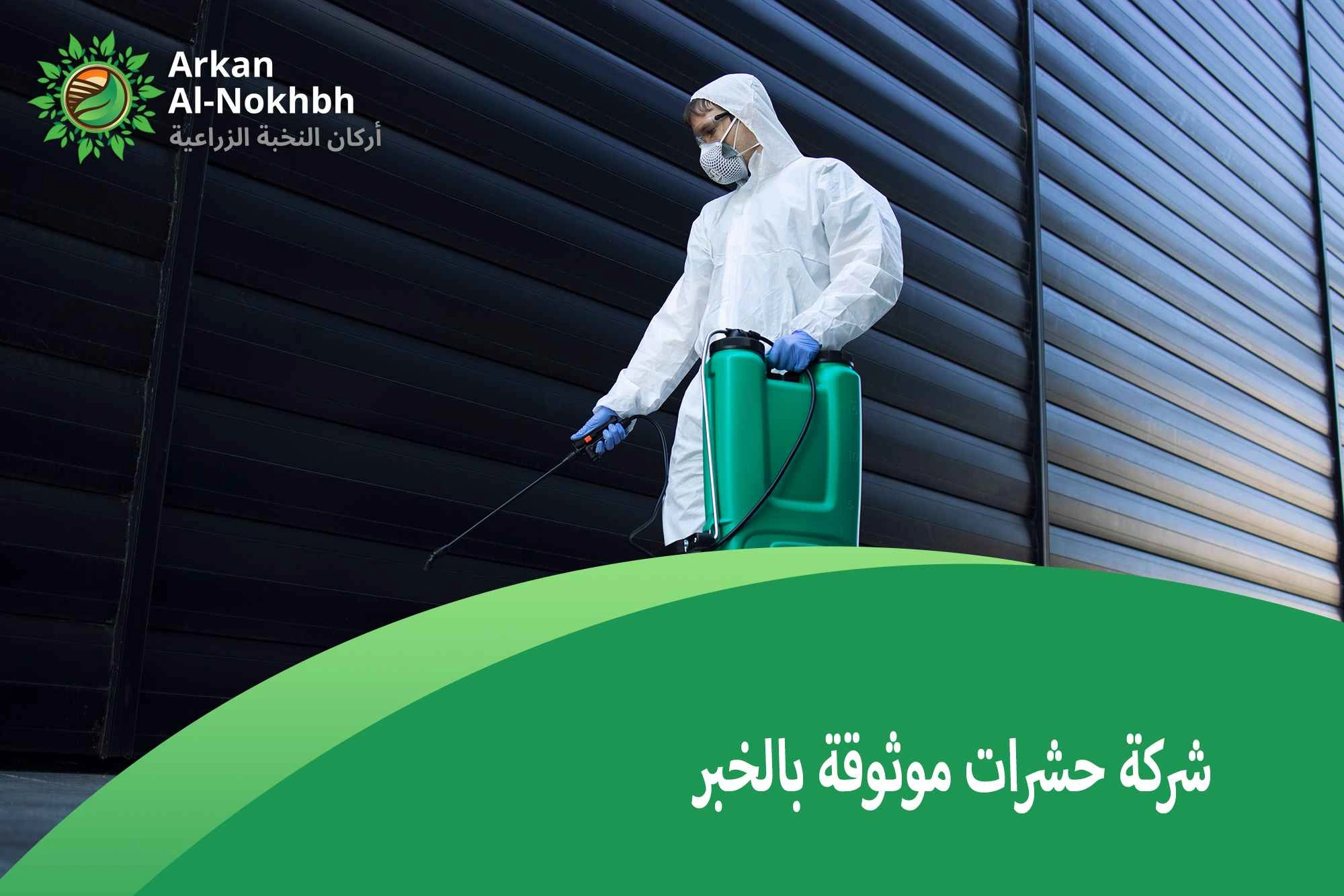 شركة حشرات موثوقة بالخبر