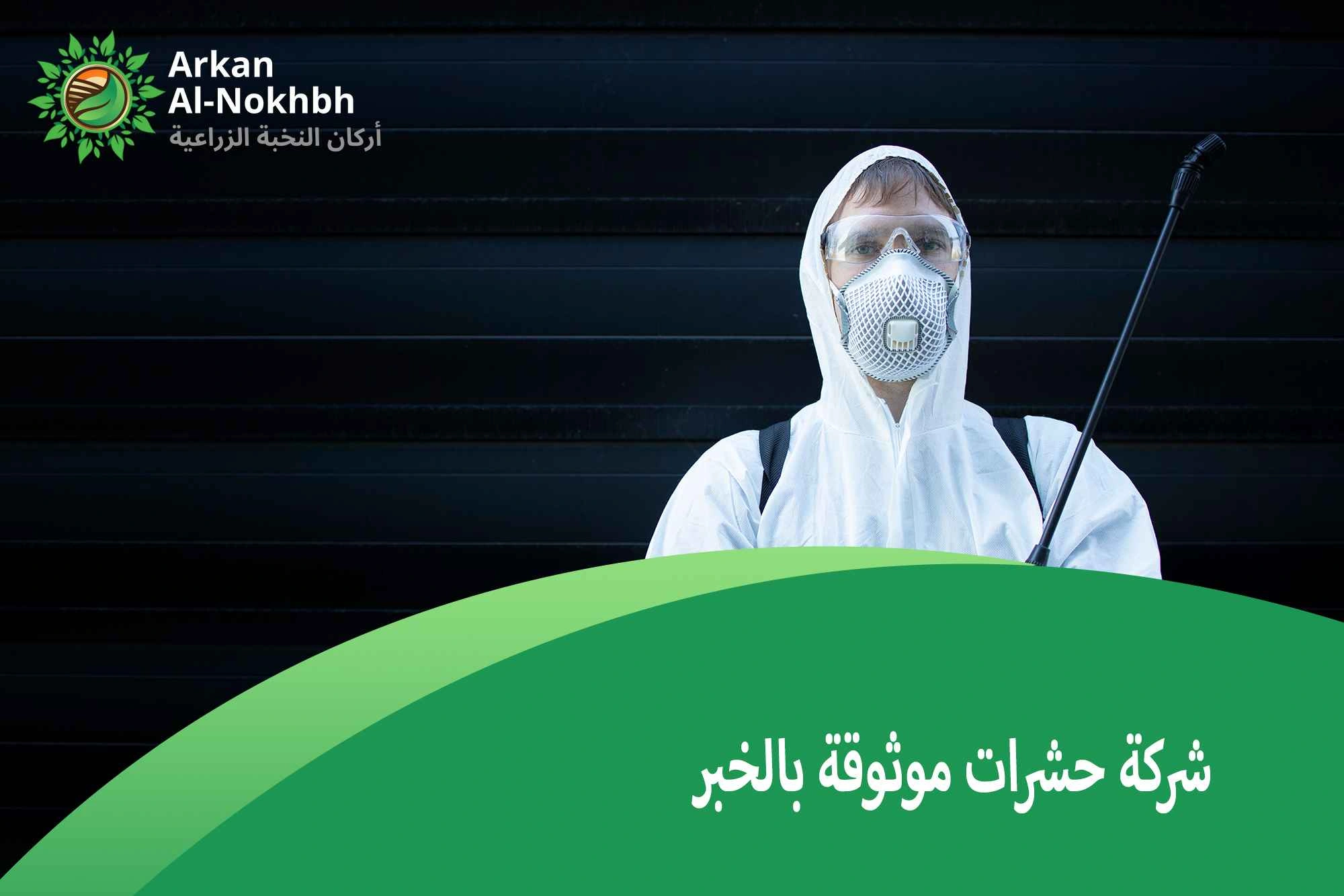 شركة حشرات موثوقة بالخبر