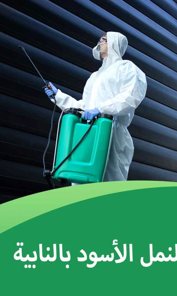 شركة مكافحة النمل الأسود بالنابية