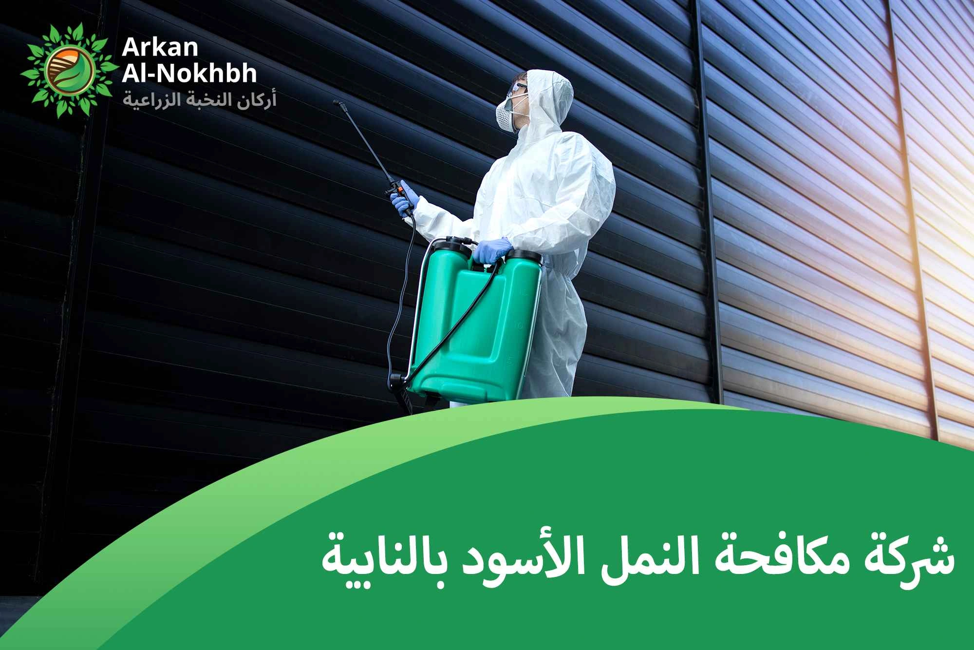 شركة مكافحة النمل الأسود بالنابية