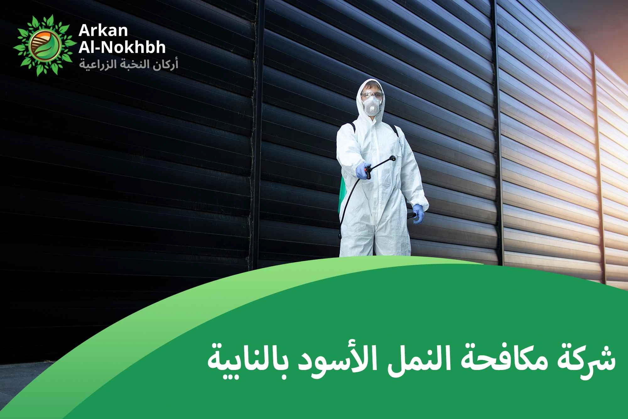 شركة مكافحة النمل الأسود بالنابية