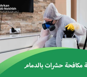 شركة مكافحة حشرات بالدمام