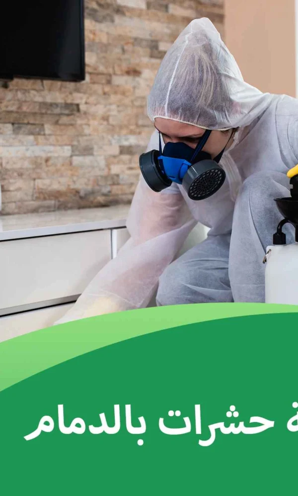 شركة مكافحة حشرات بالدمام