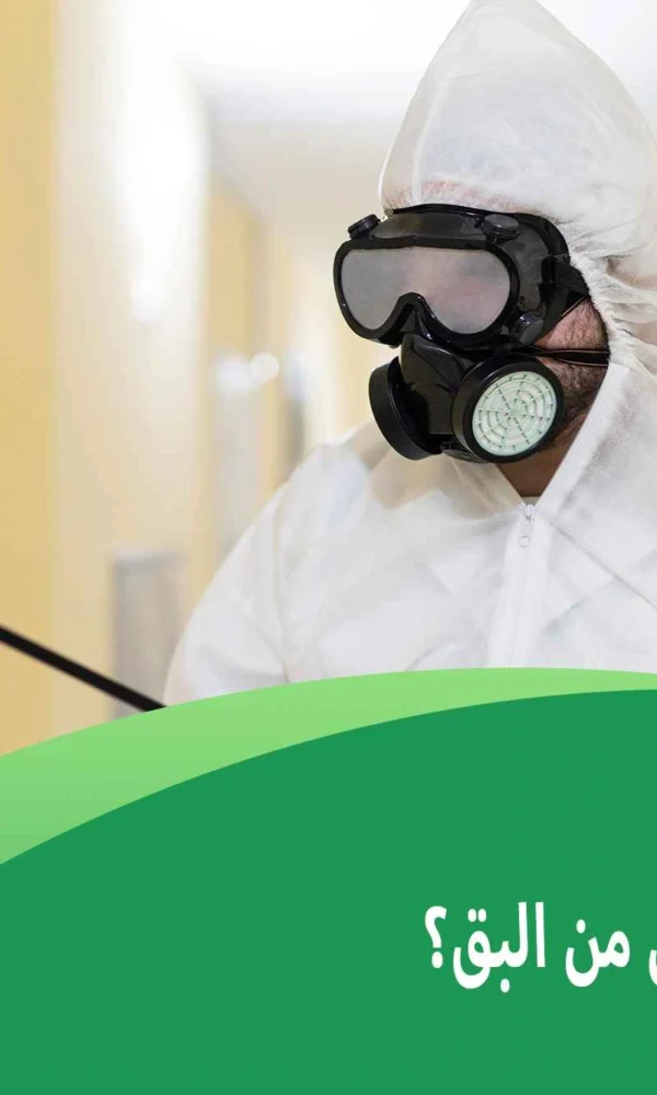 كيف أتخلص من البق؟