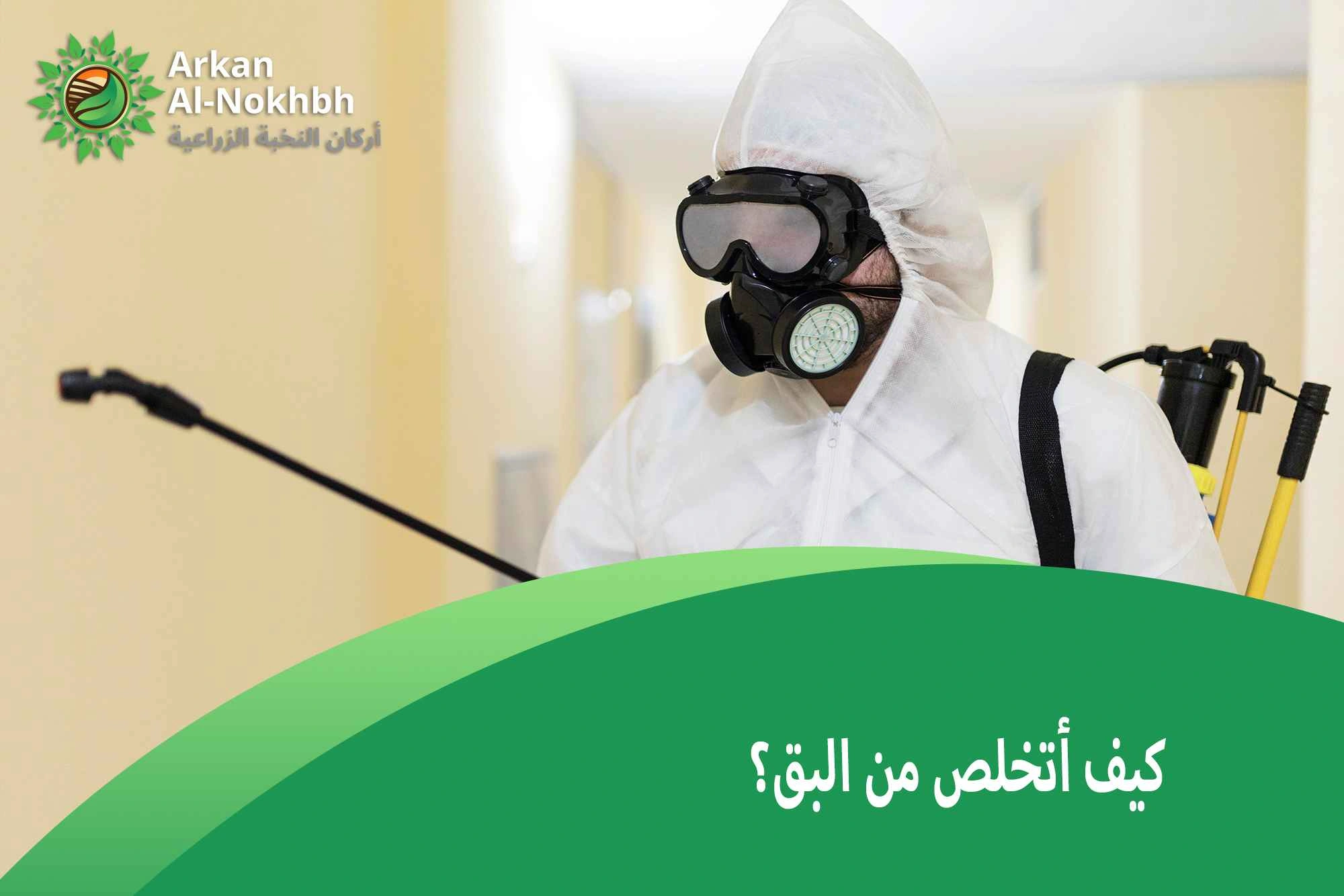 كيف أتخلص من البق؟