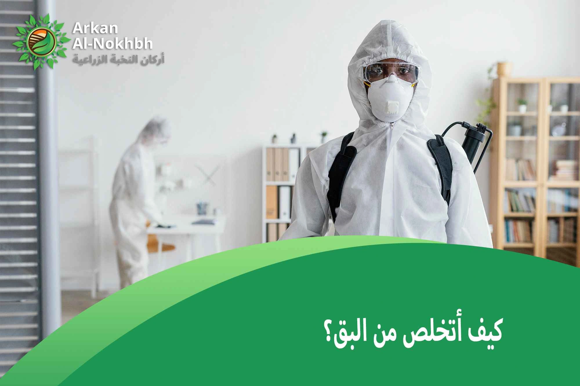 كيف أتخلص من البق؟