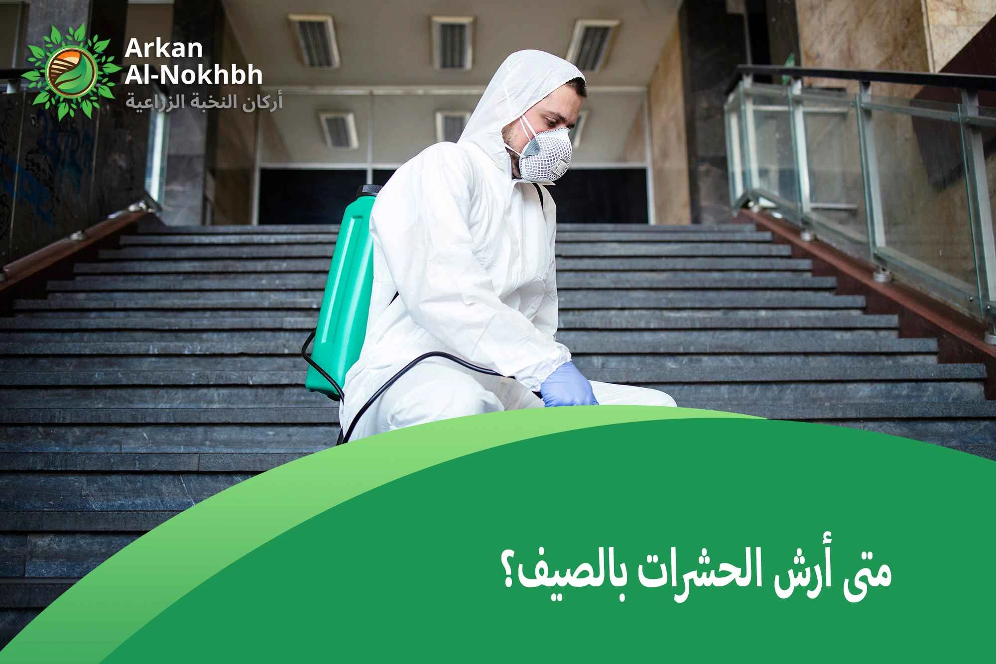 متى أرش الحشرات بالصيف؟