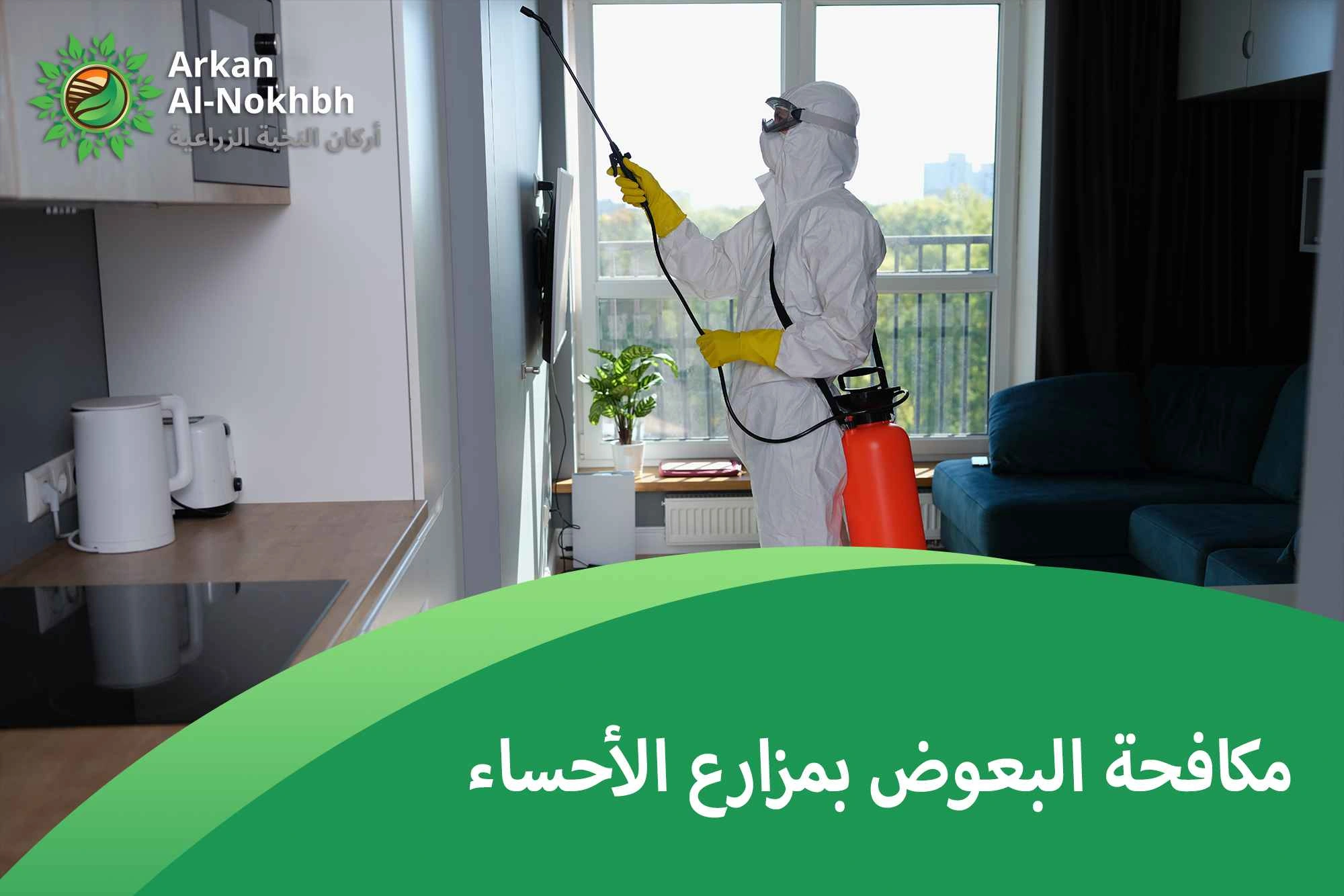 مكافحة البعوض بمزارع الأحساء