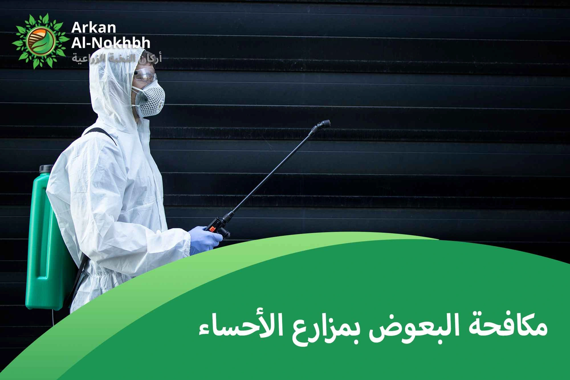 مكافحة البعوض بمزارع الأحساء