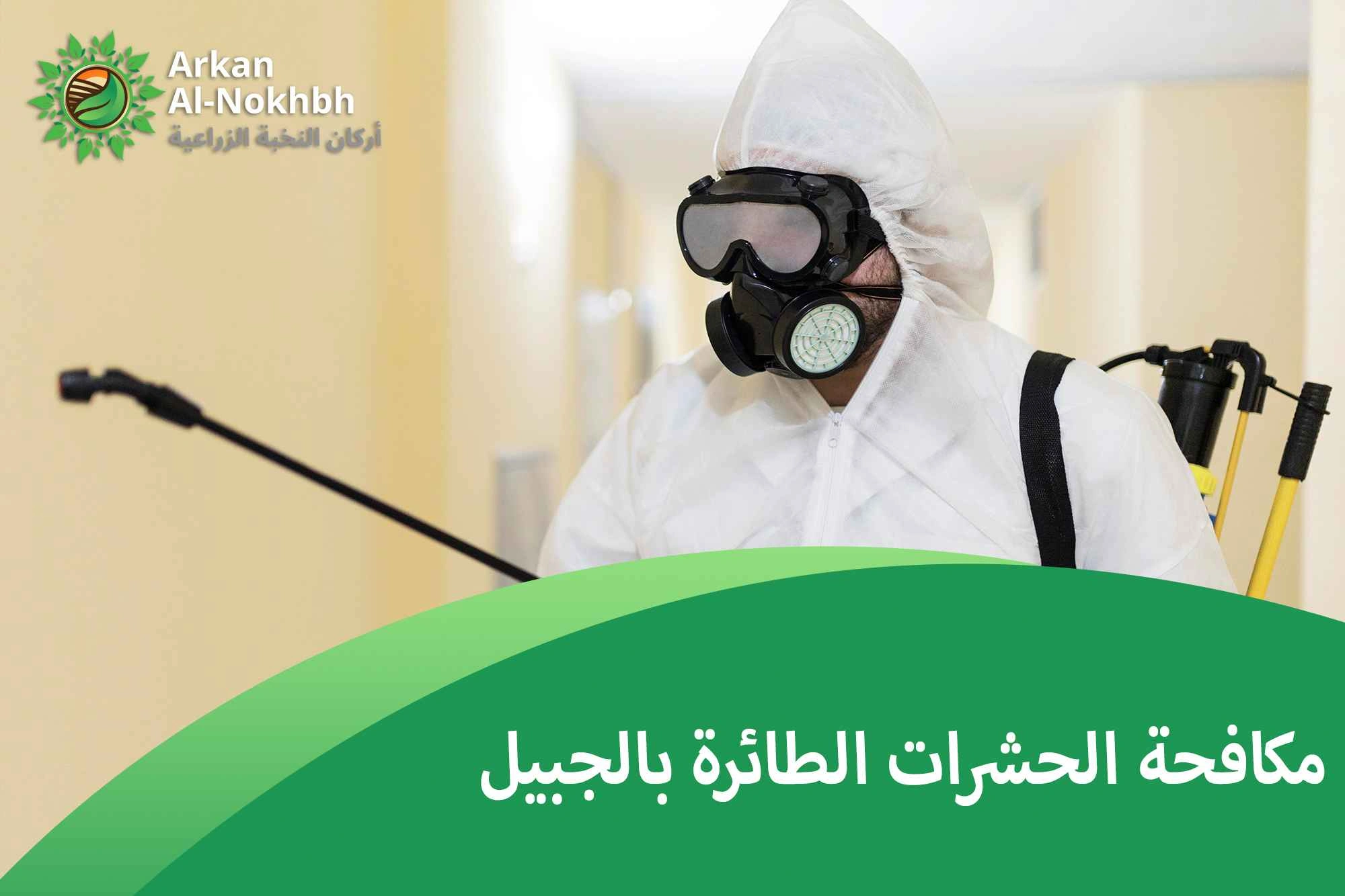 مكافحة الحشرات الطائرة بالجبيل