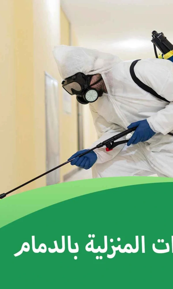 مكافحة الحشرات المنزلية بالدمام