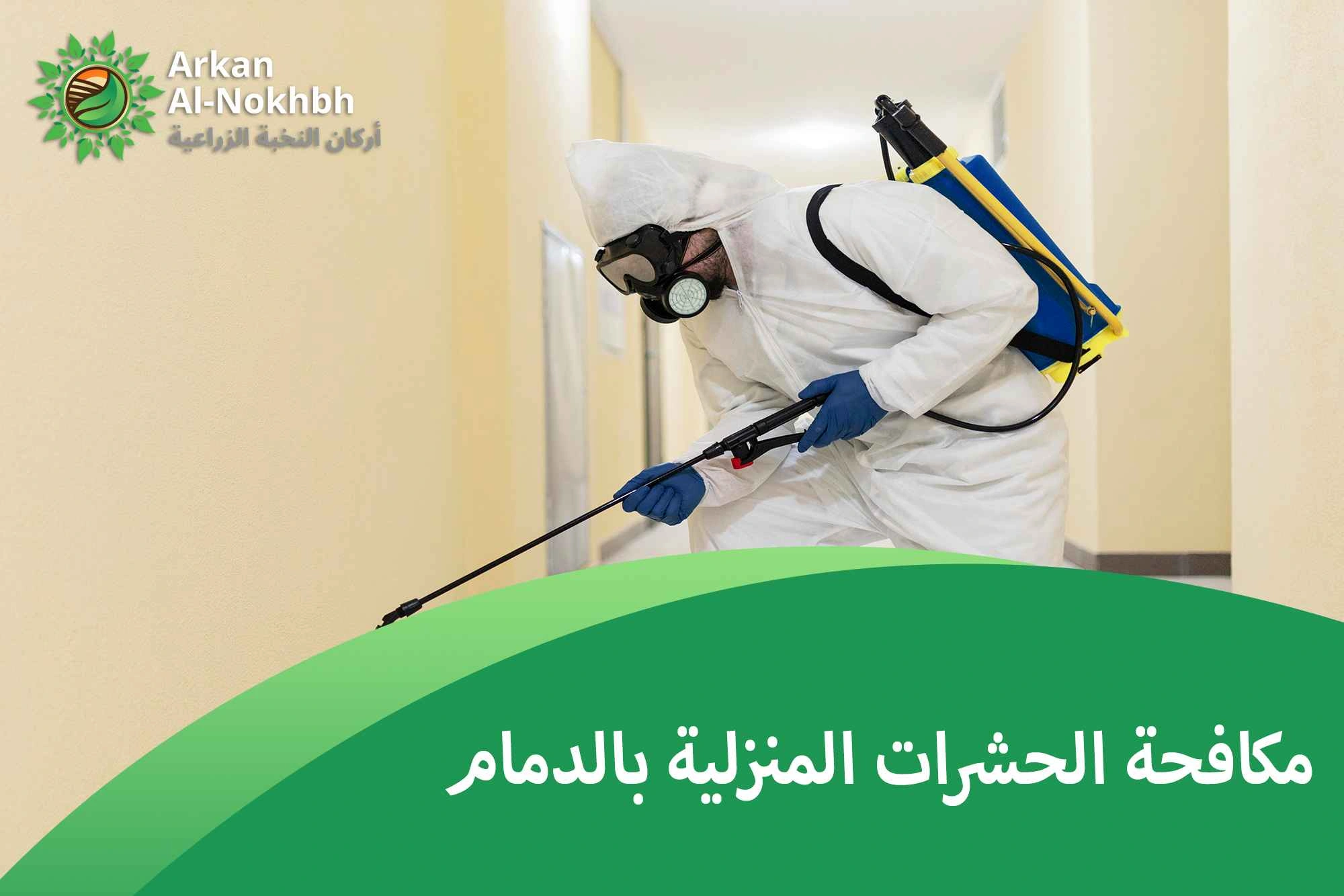 مكافحة الحشرات المنزلية بالدمام