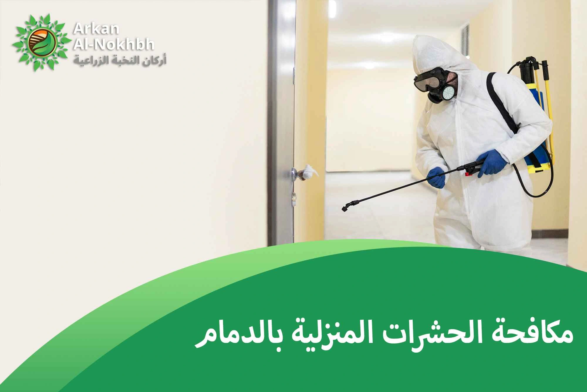 مكافحة الحشرات المنزلية بالدمام