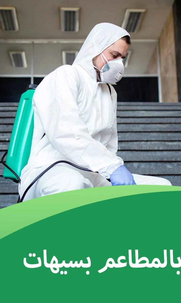 مكافحة الفئران بالمطاعم بسيهات